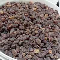 کشمش آفتابی درجه یک