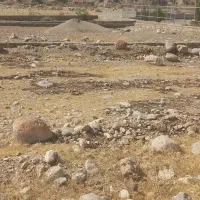 زمین تجاری مغازه|فروش دفتر صنعتی، کشاورزی، تجاری|دوگنبدان, |دیوار
