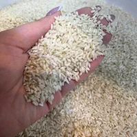 برنج عنبربو درجه یک