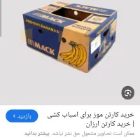 کارتن موزی خالی