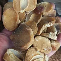 سیر و موسیر همدان|خوردنی و آشامیدنی|قم, دانش|دیوار