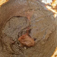 رب انار قجری