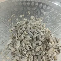 مغز آفتاب گردان درجه یک و تازه