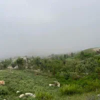 فروش زمین ۲۵۰ متری پاقلعه رامیان|فروش زمین و ملک کلنگی|رامیان, |دیوار