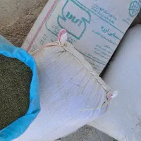 ماش|عمده‌فروشی|شاهیوند, |دیوار