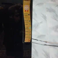 هود لمسی تازه 3ماه کار|هود|کرمانشاه, |دیوار