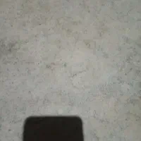 تنه لاتانی 26معادضه با اساک