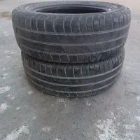 لاستیک ساینا کوییک تیبا