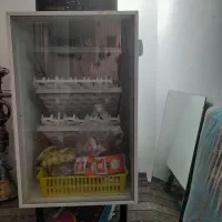 دستگاه جوجه کشی ۱۲۶ تایی