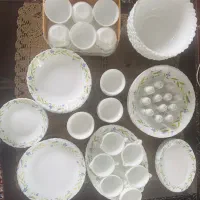 ظروف پذیرایی