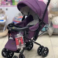 کالسکه دلیجان|کالسکه و لوازم جانبی|اهواز, کمپلو جنوبی|دیوار