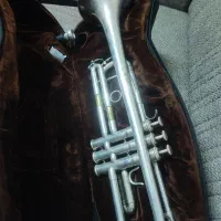 ترومپت بسون