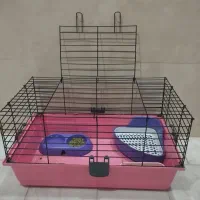 فروش فوری / تخفیف دارد|موش و خرگوش|قم, قلعه کامکار|دیوار