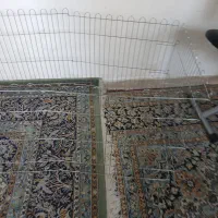 پارک پت و کوله فضایی