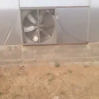 نصب صفر تا صد گلخانه|خدمات پیشه و مهارت|ایذه, |دیوار