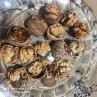 گردوی پوست کاغذی اصل تویسرکان|خوردنی و آشامیدنی|محمدشهر, محمدشهر|دیوار