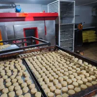 جذب نیروی کارگرساده خانم