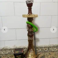 خرگوش.مینی|موش و خرگوش|کرمانشاه, |دیوار