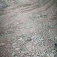 فروش زمین رودبار جنوب