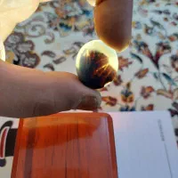 سنگ انگشترشجر|جواهرات|تویسرکان, |دیوار