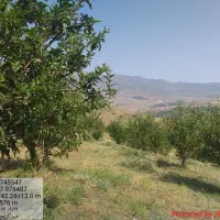 هرس کاری وطراحی فضای سبز