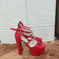 کفش مجلسی پاشنه بلند|کیف، کفش، کمربند|یامچی, |دیوار