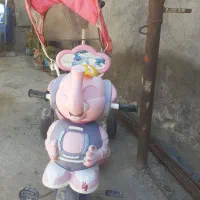 کاسکه کمک مادر فرماندار در دست مادر