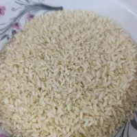 برنج محلی با عطر و طعم فراوان