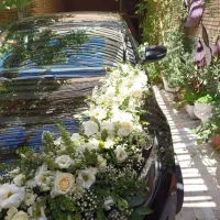 دکور تولد/ بله برون/ یلدا|خدمات پذیرایی، مراسم|قم, پردیسان|دیوار