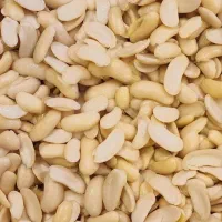 لوبیا کشاورزی پوست کنده عمده کیلویی ۴۰۰ تومن