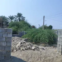 فروش یک قطعه زمین به متراژ ۶۰۰ متر در شهر زهوکی|فروش زمین و ملک کلنگی|بند زرک, |دیوار