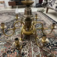 اوستر ۶ شاخه