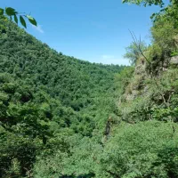 نیاز به راننده غلطک