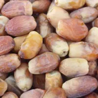 خرمازاهدی|خوردنی و آشامیدنی|شیبکوه (فارس), |دیوار