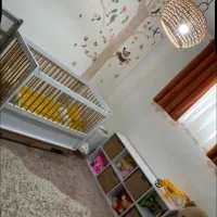 تخت کودک حفاظ دار|تخت و صندلی بچه|اصفهان, نصرآباد|دیوار