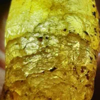 کهربای زیبا|کلکسیون اشیاء عتیقه|دلیجان, |دیوار