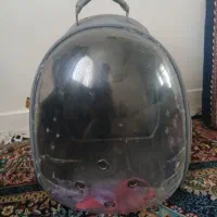 کوله پشتی پرنده