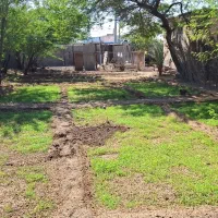 شخم زدن زمین باتیلر|خدمات باغبانی و درختکاری|آبادان, |دیوار