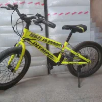 دوچرخه ۲۰تنه بزرگ المپیا کوهستان