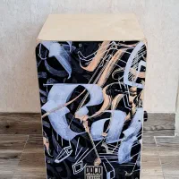 کاخون paco، سالم، خریداری شده 6 ماه قبل|درام و پرکاشن|قزوین, |دیوار