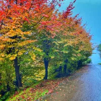 ۳۰۰متر زمین سنددار برای ویلا دیزکوه