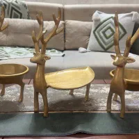 ست طرح گوزن