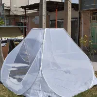 پشه بند