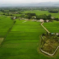 فروش جزیره ۳۱۰۰متری کد۲۸۳