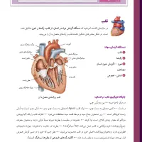 انجام خدمات تایپ، صفحه‌آرایی، طراحی گرافیکی|خدمات رایانه‌ای و موبایل|تهران, بهار|دیوار