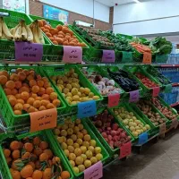 استند میوه  استند سبزی استند تره بار فلزی|فروشگاه و مغازه|آمل, |دیوار