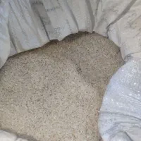 برنج طارم هاشمی|خوردنی و آشامیدنی|خان ببین, |دیوار