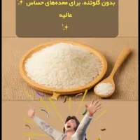 برنج طارم هاشمی با اقساط دو ماه،ضمانتی|خوردنی و آشامیدنی|زرند, |دیوار