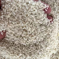 برنج درجه یک هاشمی گیلان و لاشه ممتاز هاشمی|خوردنی و آشامیدنی|تالش, تالش|دیوار