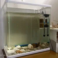 اکواریوم شیشه خم به همراه ماهی و متعلقات|ماهی|تهران, کوثر|دیوار